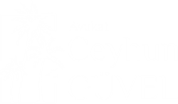 Avukat