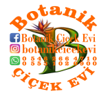Botanik
