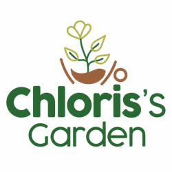 Chloris’s