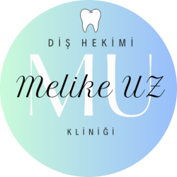 Diş