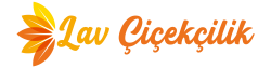 Lav