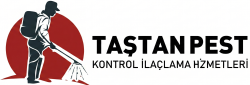 Taştan