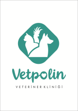 VETPOLİN