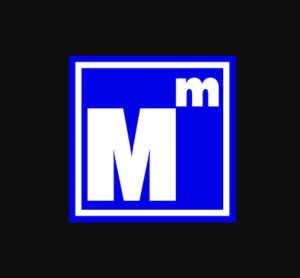 MALİ MÜŞAVİRLİK HİZMETLERİ 