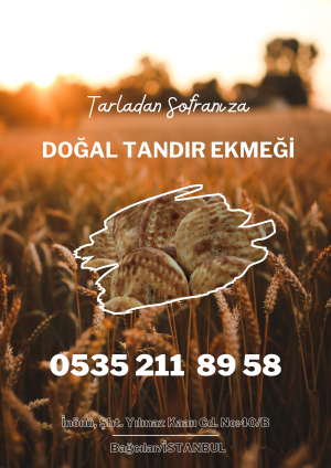 Doğal Tandır Ekmeği