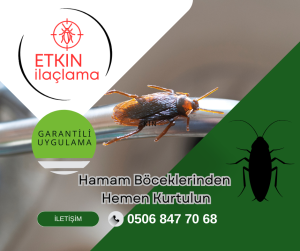 Etkin ilaçlama