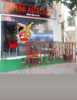 Gemini Astroloji