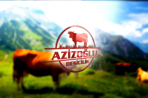 Azizoğlu Kurbanlık Çiftlik