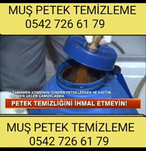 Muş Petek temizleme