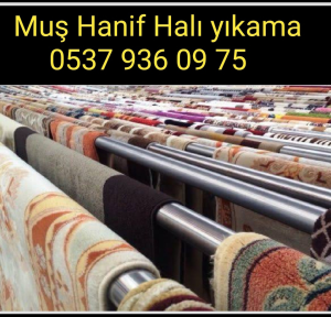 Muş halı yıkama