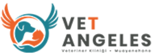 Vet Angeles