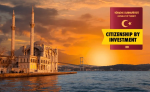 turkish citizenship vatandaşlık hizmetleri
